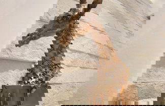 Photo 43 - 1st Luxury Warehouse