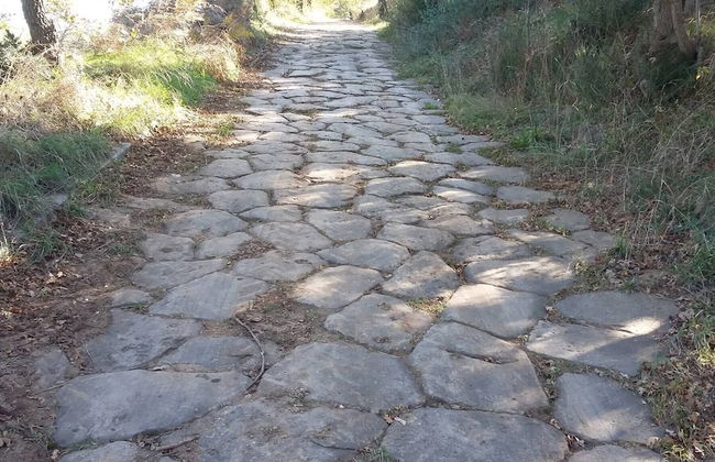 Red House/casa Rossa - Near Civita Di Bagnoregio - Photo 62