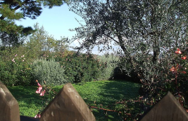 Red House/casa Rossa - Near Civita Di Bagnoregio - Photo 49