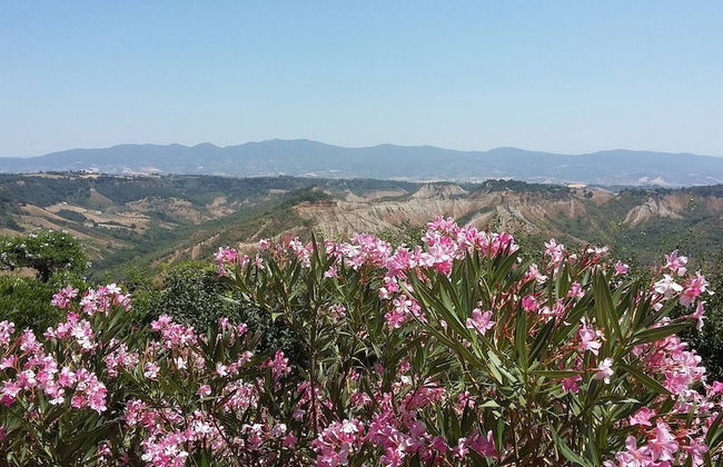 Red House/casa Rossa - Near Civita Di Bagnoregio - Photo 59
