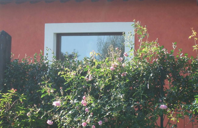 Red House/casa Rossa - Near Civita Di Bagnoregio - Photo 70