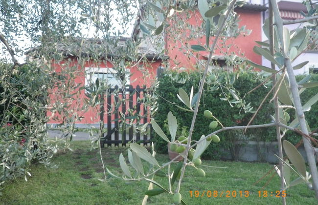 Red House/casa Rossa - Near Civita Di Bagnoregio - Photo 50