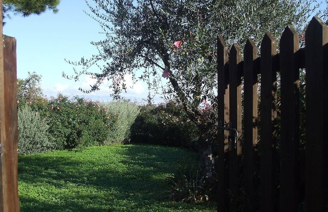 Red House/casa Rossa - Near Civita Di Bagnoregio - Photo 47