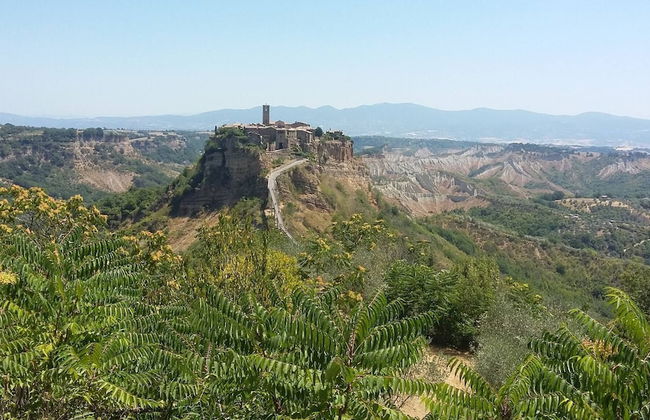 Red House/casa Rossa - Near Civita Di Bagnoregio - Photo 76