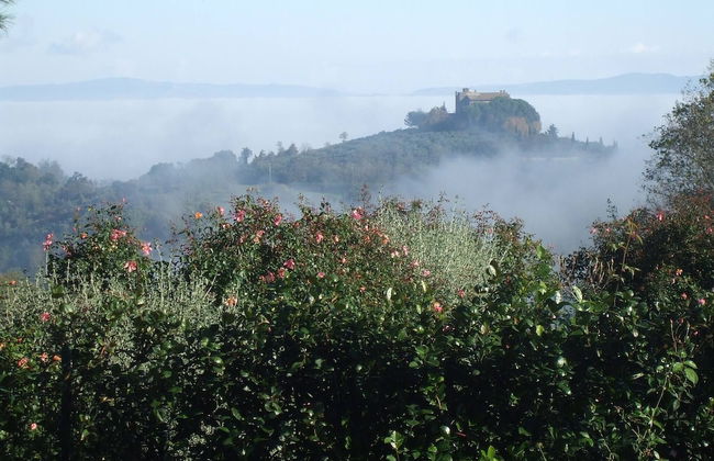 Red House/casa Rossa - Near Civita Di Bagnoregio - Photo 48