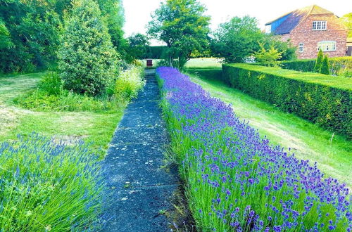 Foto 67 - Idyllic Country Retreat With Wow Views & Lush Pool