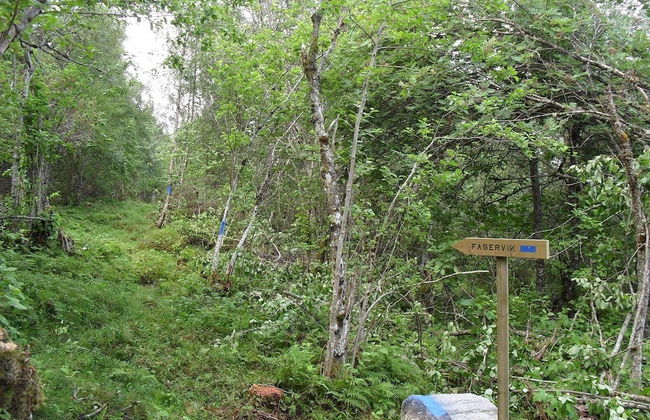 Fagervik Camping - Foto 64