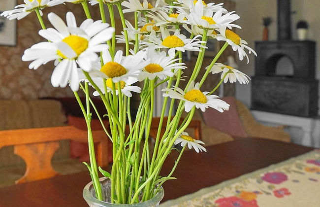 Seaside Charm on Orust Island-by Traum - Photo 3