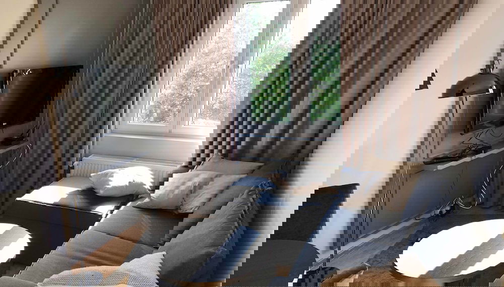 Image principale