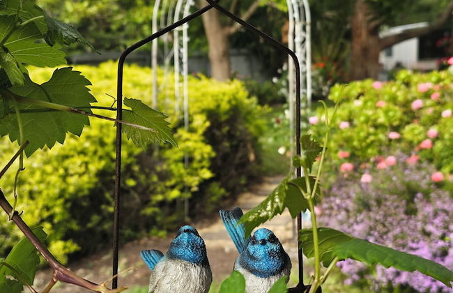 Jasmine's Cottage - Foto 30
