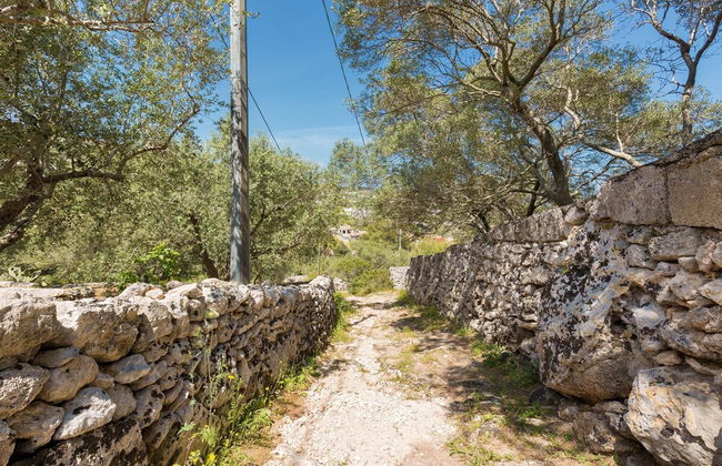 Il Giardino delle Cipolliane - Foto 58
