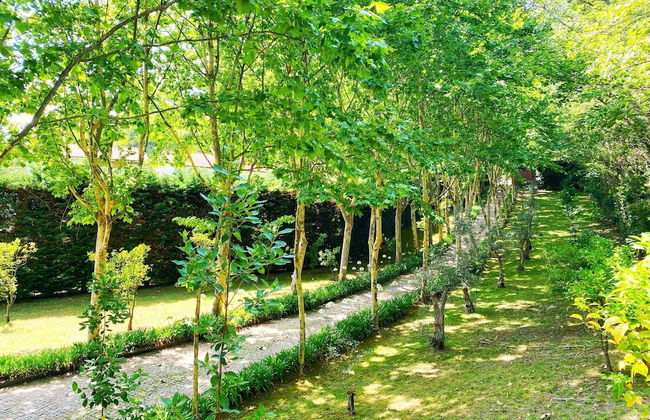 Lovely 1-bed Apartment in Santa Cruz do Douro - Foto 24