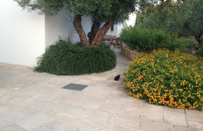 Tenuta de Marco - Foto 21