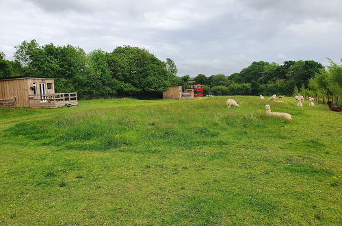 Foto 34 - Double Decker Bus on an Alpaca Farm Sleeps 8