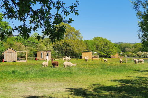 Foto 61 - Double Decker Bus on an Alpaca Farm Sleeps 8