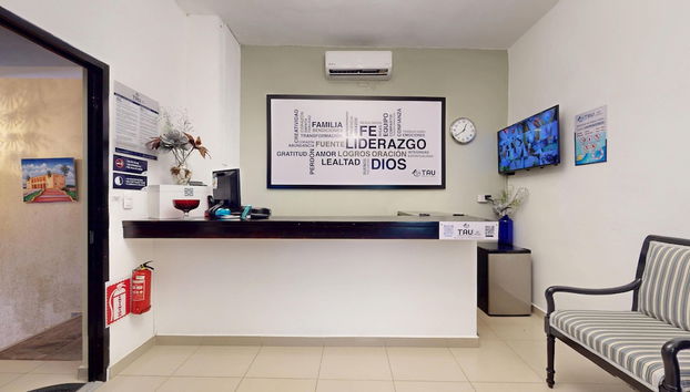 Receção