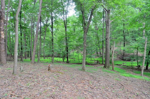 Photo 18 - Fox Hollow - Cozy Den With a Hot Tub