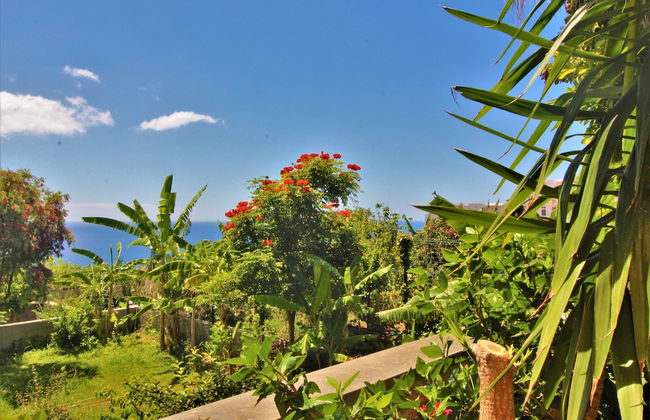 Apartment With Very Big Garden Near Beach - Foto 14