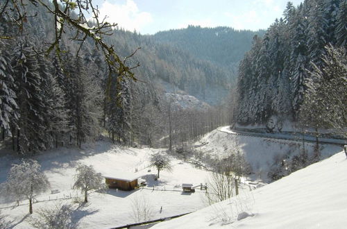 Photo 38 - Holiday Home Near the Forest in Oppenau