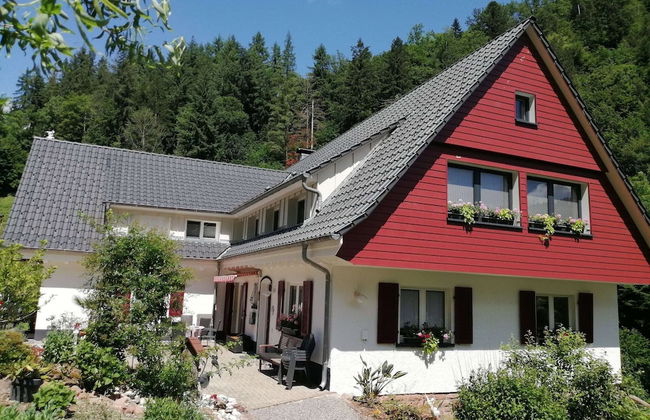 Pretty Apartment in Oppenau near Black Forest National Park - Foto 24