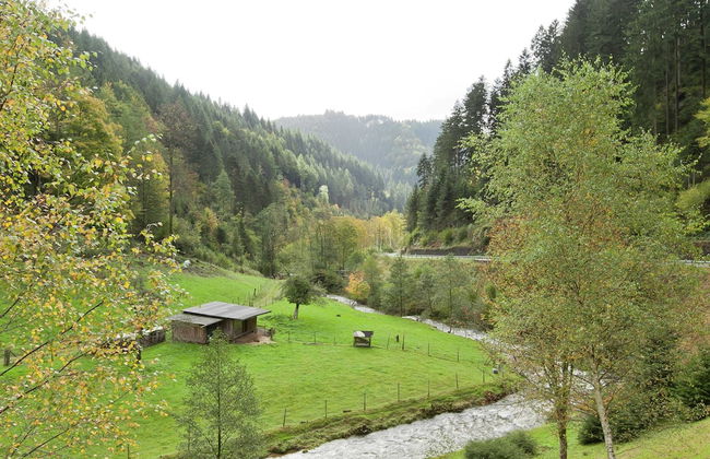 Pretty Apartment in Oppenau near Black Forest National Park - Foto 20