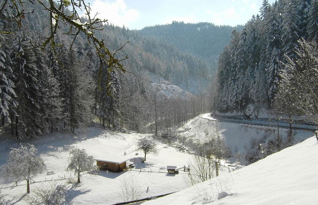 Pretty Apartment in Oppenau near Black Forest National Park - Foto 32