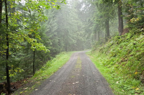 Photo 37 - Holiday Home Near the Forest in Oppenau