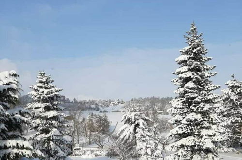 Photo 15 - Bungalow With Terrace in Harz Mountains