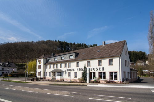 Photo 54 - Spacious Holiday Home in the Eifel National Park