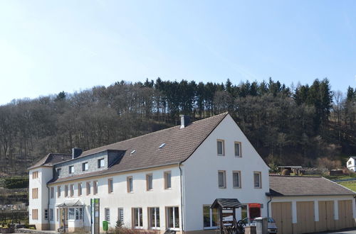 Photo 36 - Holiday Home in the Eifel National Park