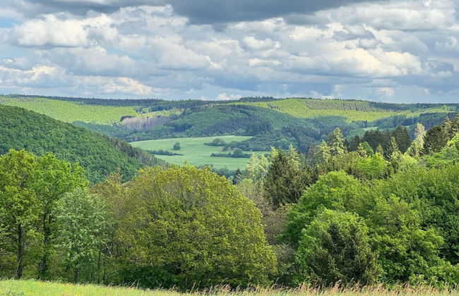 Holiday Home With Sauna in the Eifel National Park - Foto 36