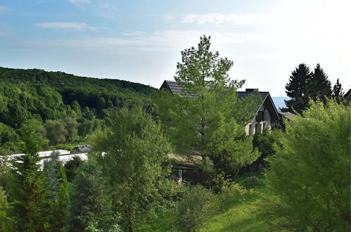 Photo 26 - Holiday Home in the Thuringian Forest With Roof