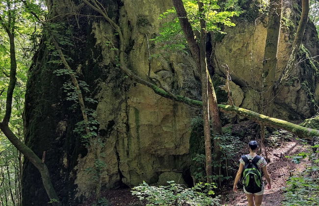 Apartment in the Middle of Franconian Switzerland - Foto 23