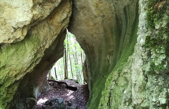 Apartment in the Middle of Franconian Switzerland - Foto 26