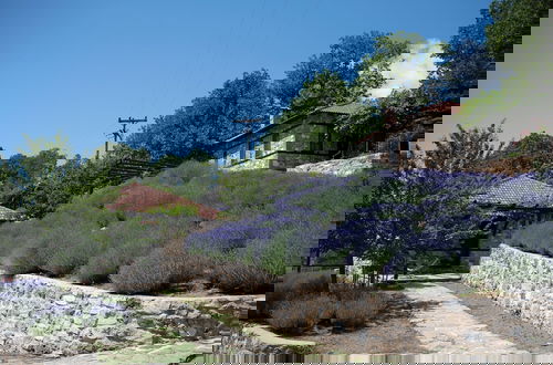 Photo 13 - Ktima Bellou