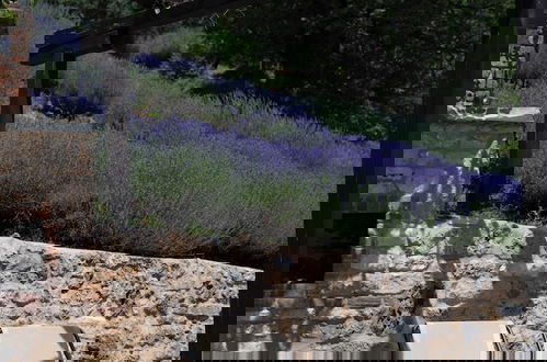Photo 12 - Ktima Bellou