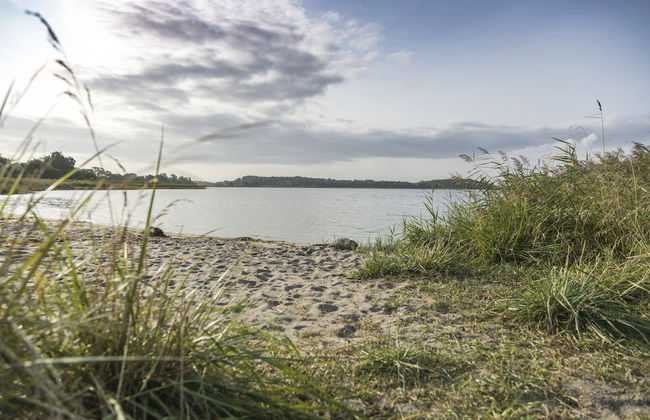 im-jaich Naturoase Rügen - Foto 26