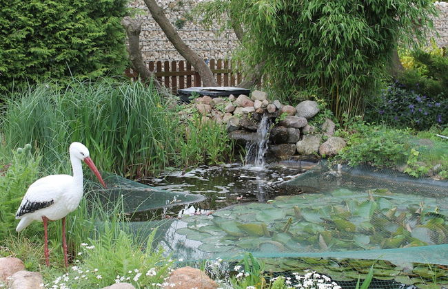 Quaint Holiday Home in Schwaan near Lake - Foto 11