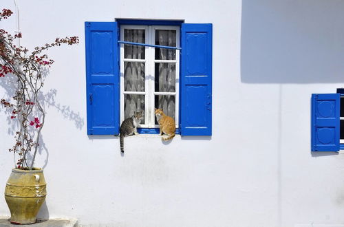 Photo 1 - Cavo Mykonos Apartments