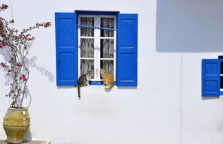 Photo 1 - Cavo Mykonos Apartments