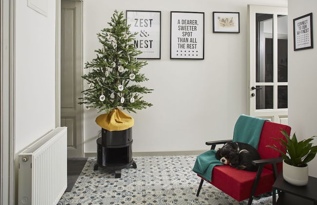 Zest and Nest Boutique Apartments - Foto 2