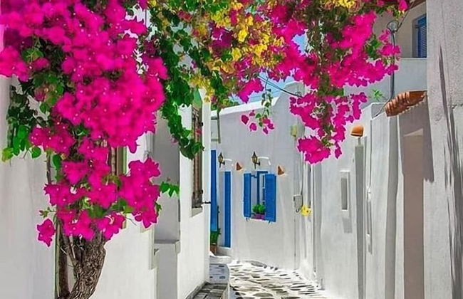 Melinas House - Mykonos Town - Foto 14