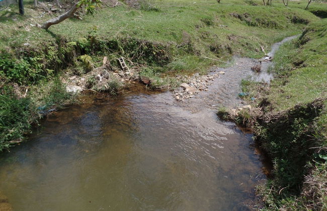Finca la marina - Foto 5