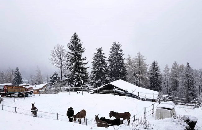 Chalet Verrel Near Aletsch Ski Gondolas - Foto 42