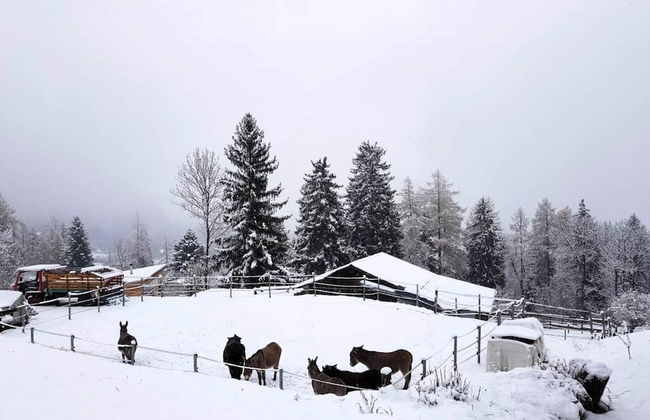 Chalet Verrel Near Aletsch Ski Gondolas - Foto 43