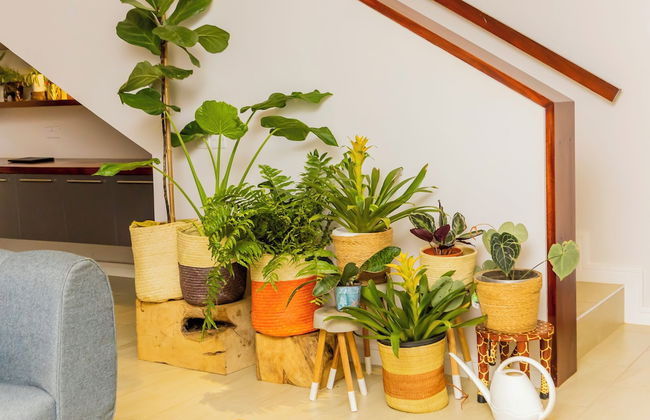 Greenleaf Residence - Foto 19