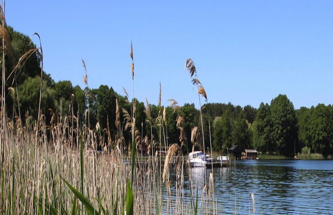 Ferienhaus am Vilzsee, Mirow - Foto 31