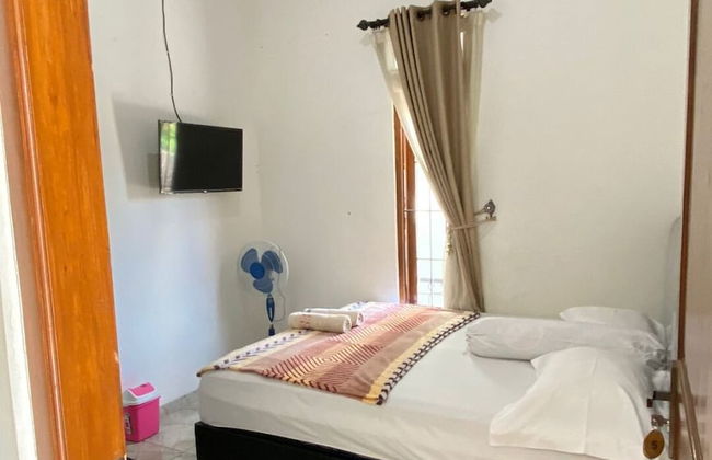 ZG Home Solo - Photo 1