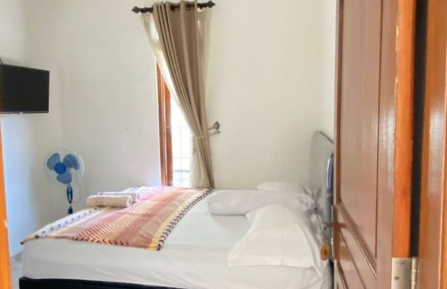 ZG Home Solo - Photo 3