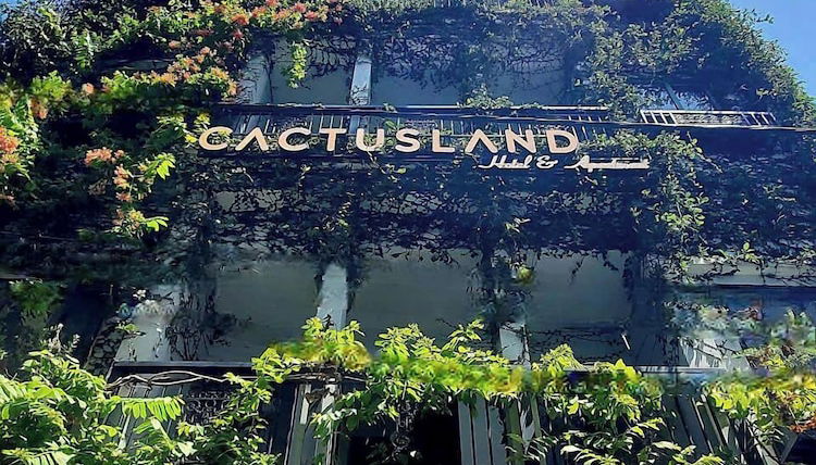Photo 1 - Cactusland Hotel & Apartment